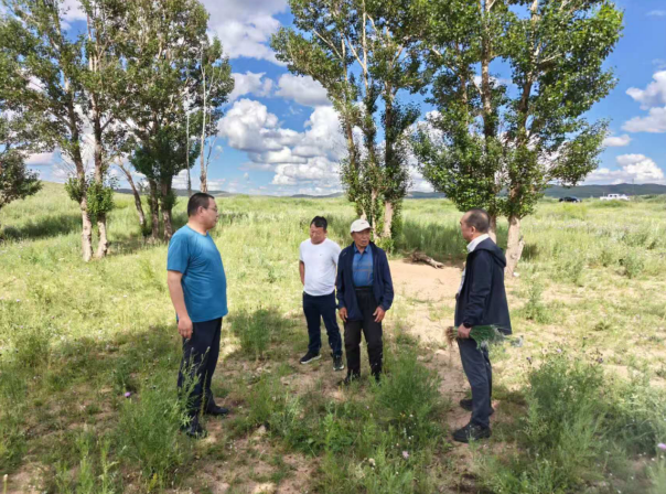 1764121615567011384.png image.png