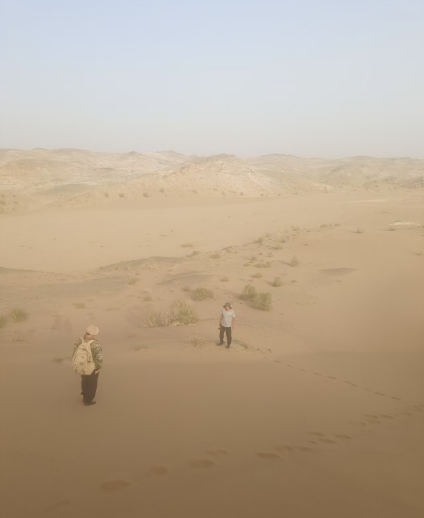 1764124442983079981.png image.png